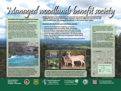 Stop 4. societal benefits of managed shortleaf pine-oak woodlands