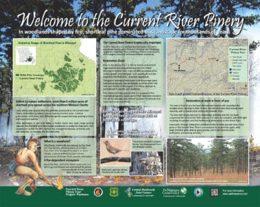 Stop 1: Welcome to the current river pinery